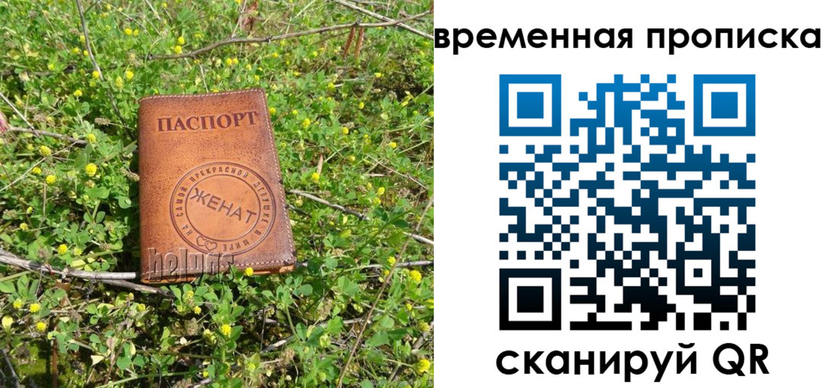 форма 3 в Оби